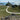 Walk With Me - Ynys Llanddwyn