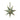 Maddox Star - Large Moss & Gold