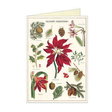 Boxed Notecards - Christmas Botanica